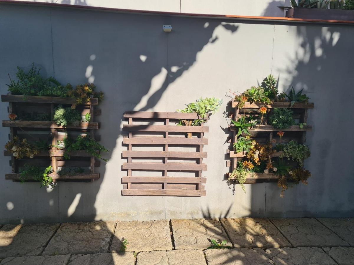 Apartament Pardelo Costa Adeje  Zewnętrze zdjęcie